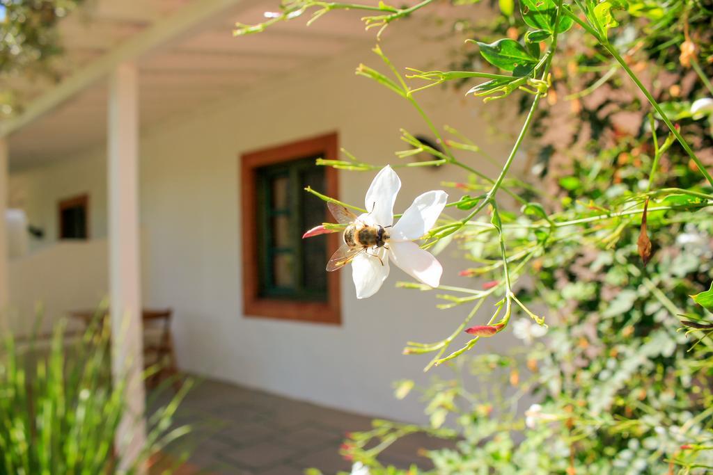 فندق Fazendinha - Tavira - Spacious And Tranquil المظهر الخارجي الصورة